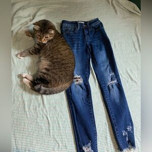 Kancan Distressed Jeggings with Leopard Print